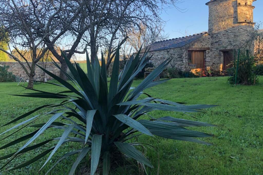 Apartamento turístico - Los Gayoles Rural Castropol Exterior foto
