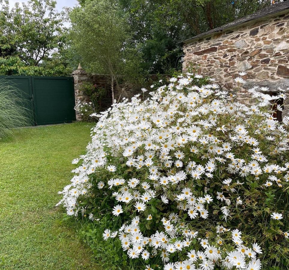 Apartamento turístico - Los Gayoles Rural Castropol Exterior foto
